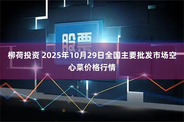 柳荷投资 2025年10月29日全国主要批发市场空心菜价格行情