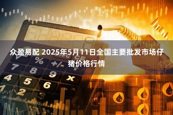 众盈易配 2025年5月11日全国主要批发市场仔猪价格行情