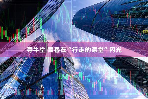 寻牛堂 青春在“行走的课堂”闪光