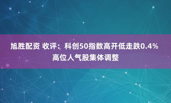 旭胜配资 收评：科创50指数高开低走跌0.4% 高位人气股集体调整